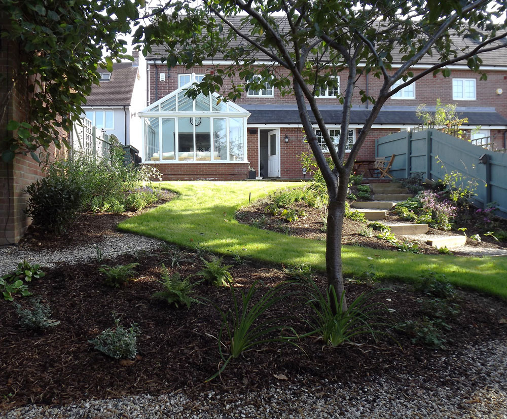 sloping garden looking up