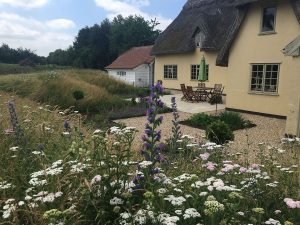 rural garden with big views