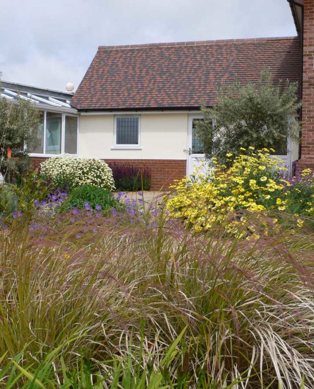 modern front garden with combination of ornamental grasses and flowering plants