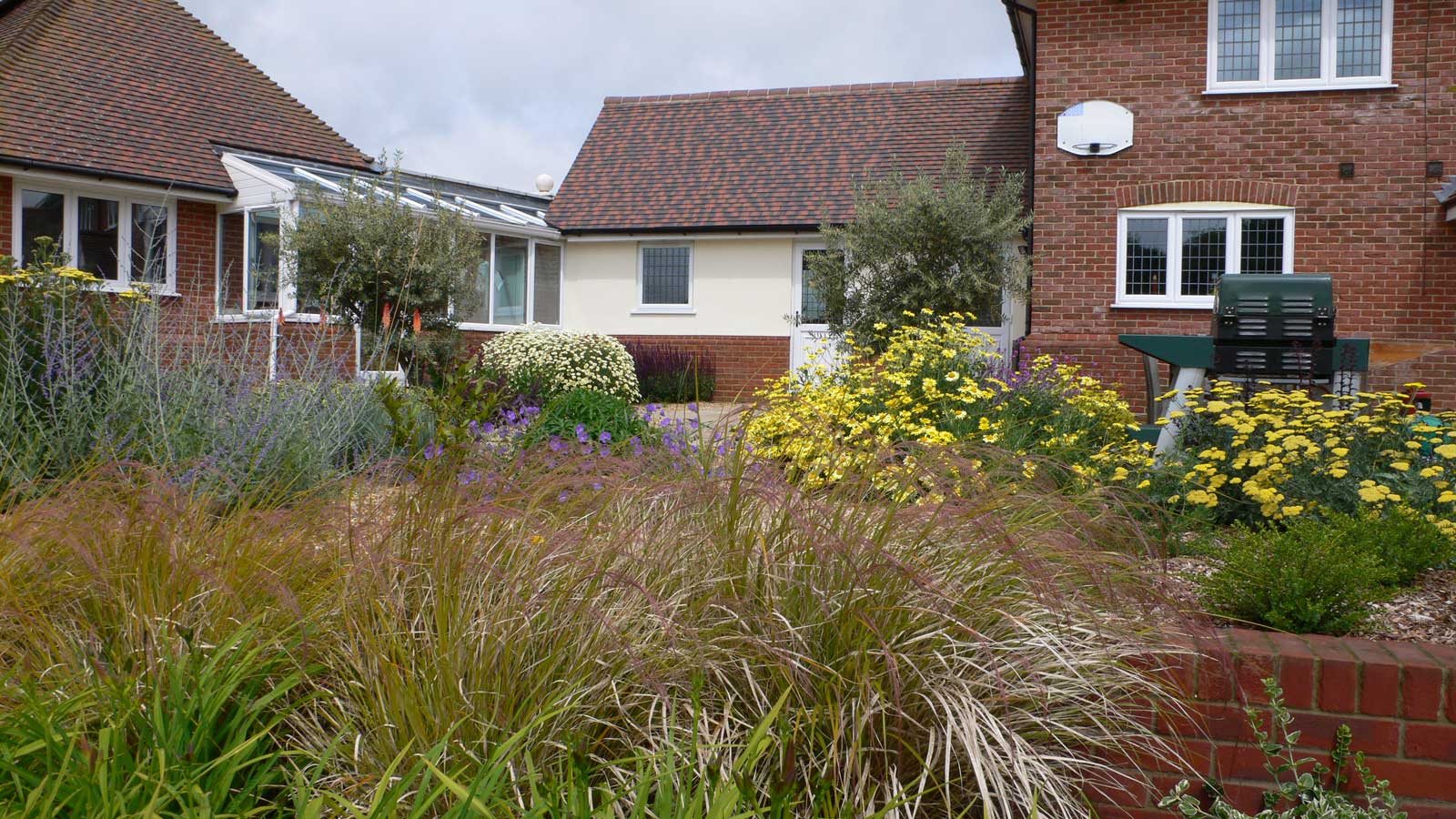 modern front garden with combination of ornamental grasses and flowering plants