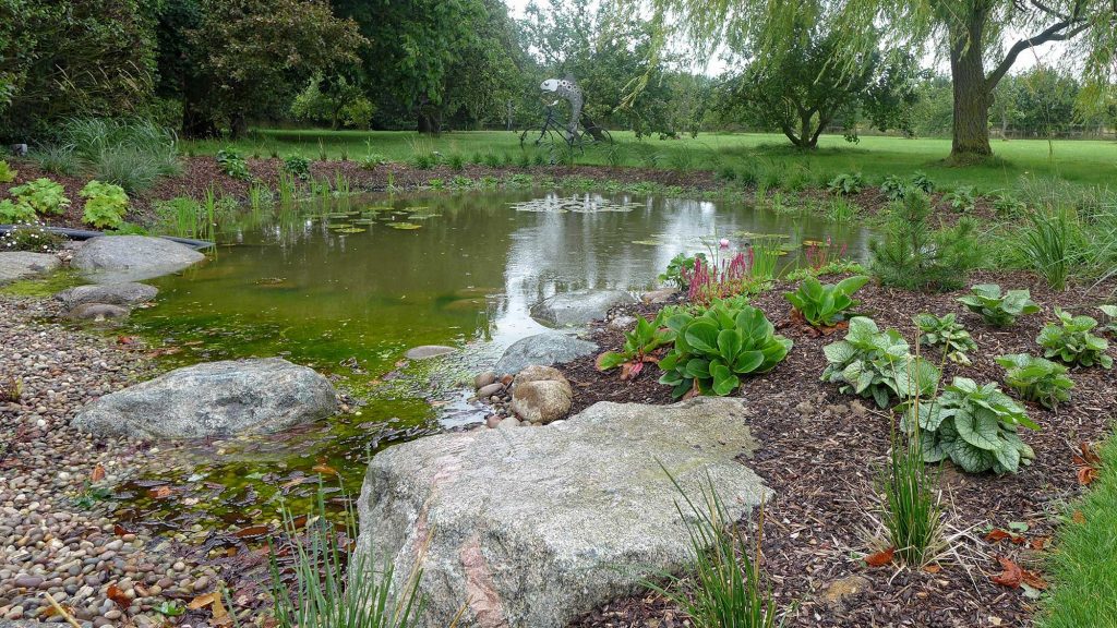 wildlife pond near Frinton on sea a beautiful water feature that helps the environment