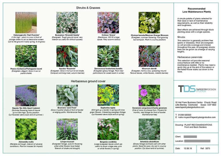 Planting Plan and Plant Schedule - TDS