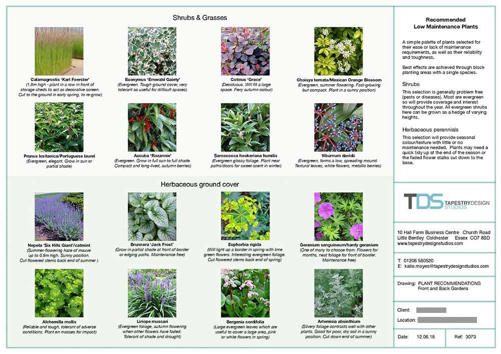 Planting Plan And Plant Schedule TDS