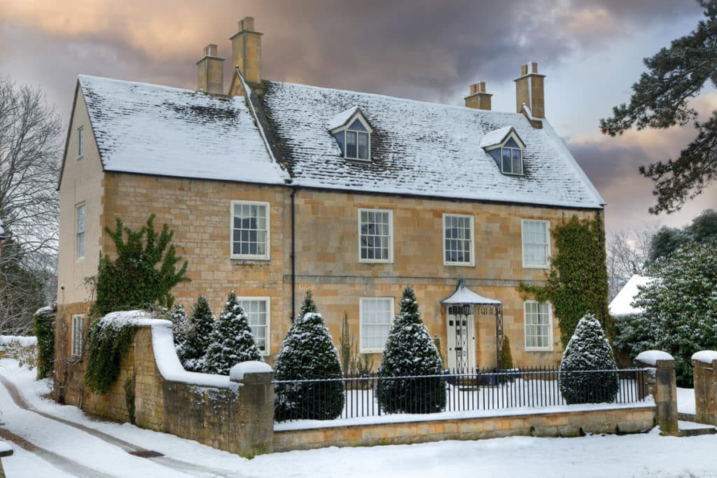 garden in winter