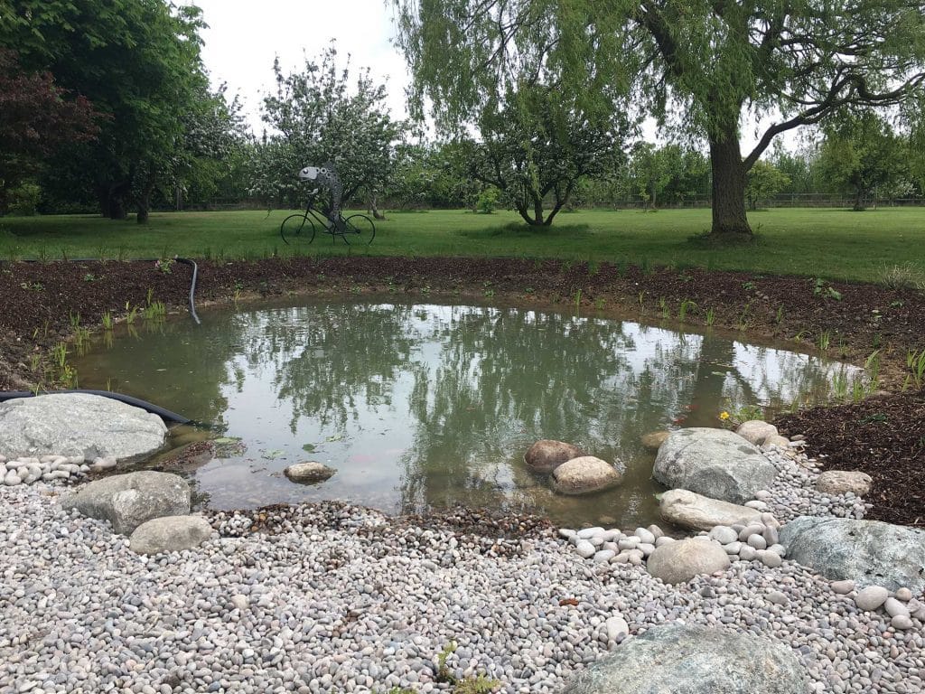 wildlife pond before planting