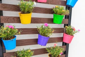 colourful green wall