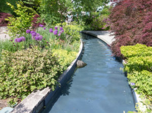 gently curving water rill with low growing plants either side of it