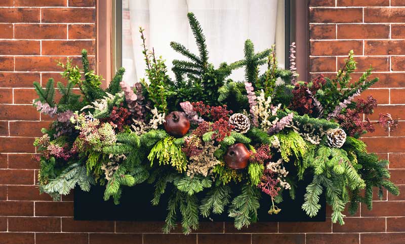 festive window box design with evergreen foliage and pine cones