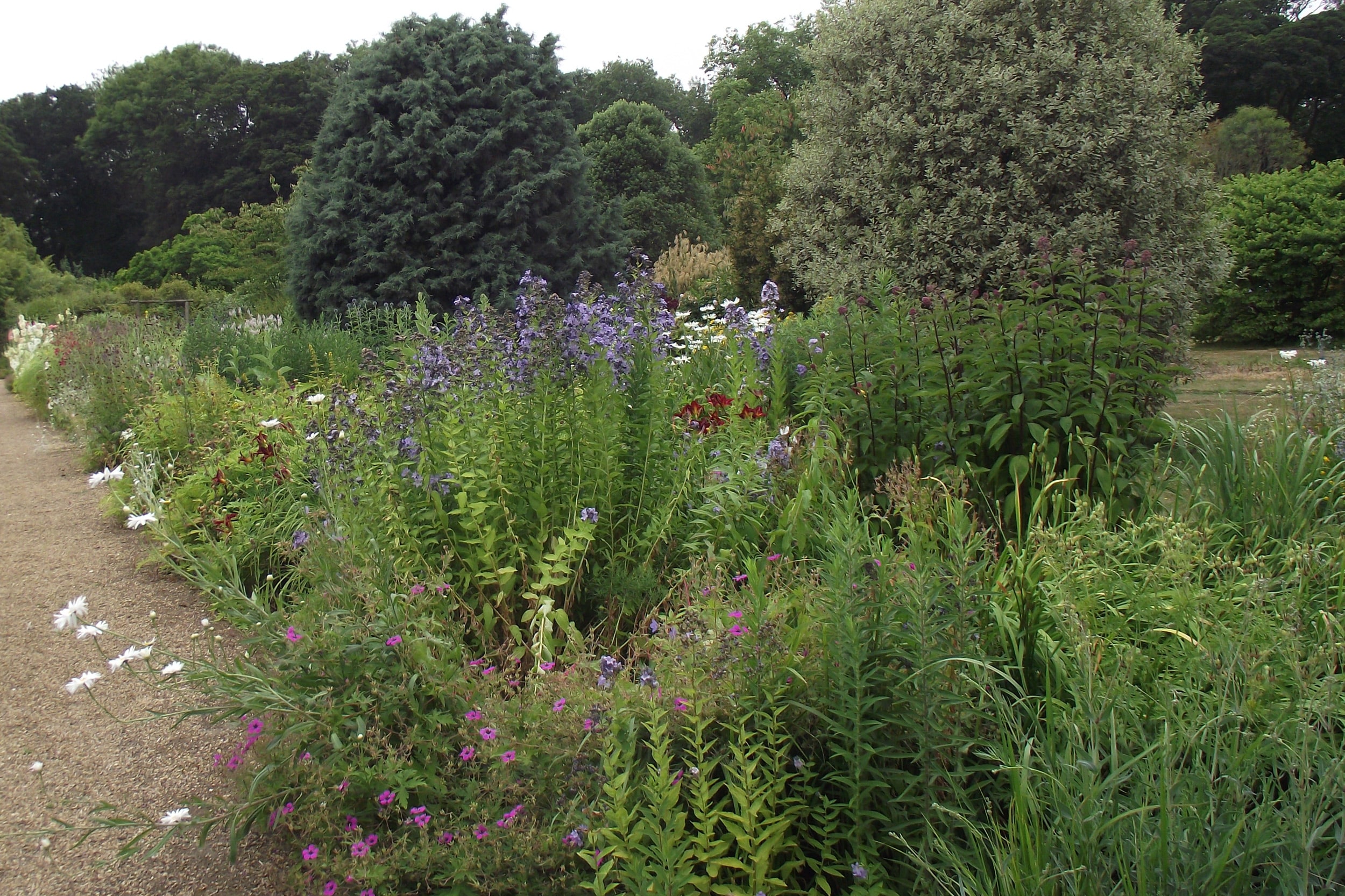 landscape design and planting in Norfolk