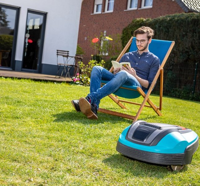 robot lawn mower in low maintenance garden