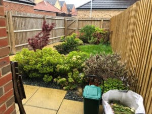 long narrow back garden with overgrown shrubs