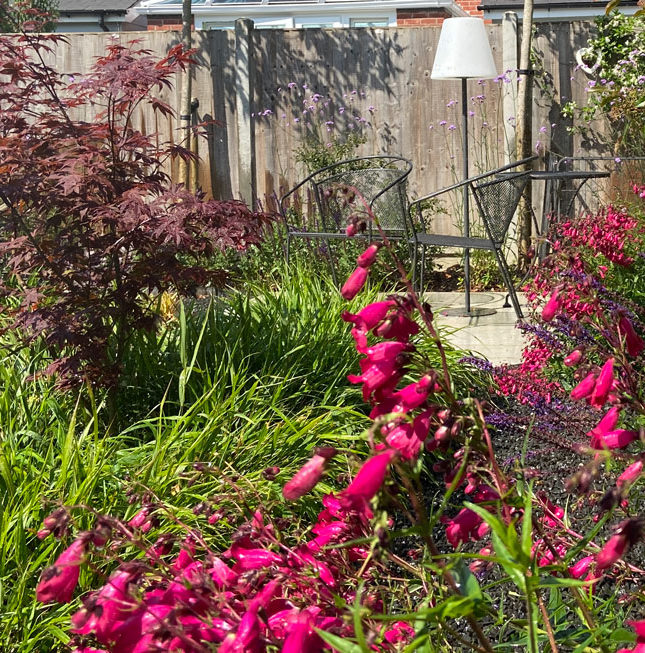 magenta flowers in the foreground of this picture of lifestyle gardens with a seating area