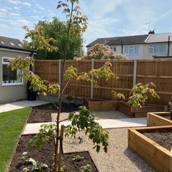 beautiful rear garden with young tree, lawn and raised sleeper beds