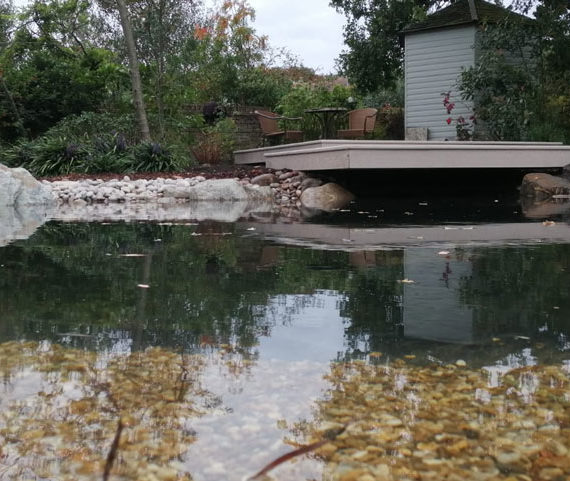 shot of wildlife pond showing gravel bed with pebble beach and floating deck in the background