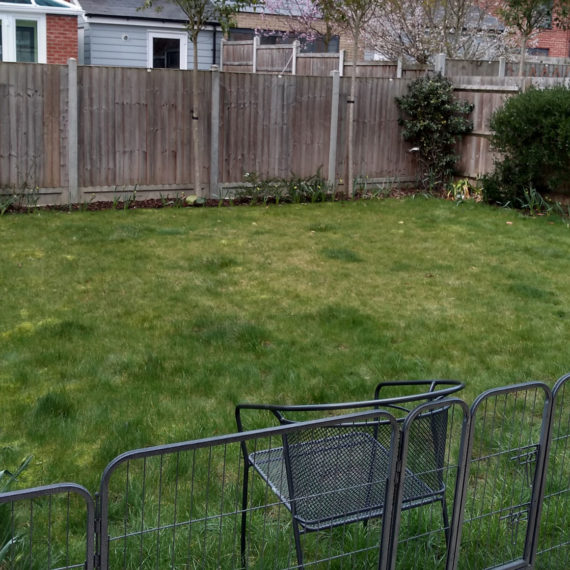 newbuild garden before garden makeover - uneven lawn with temporary fencing in the foreground