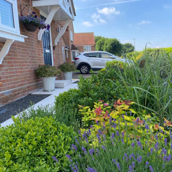new build front garden with colourful planting scheme
