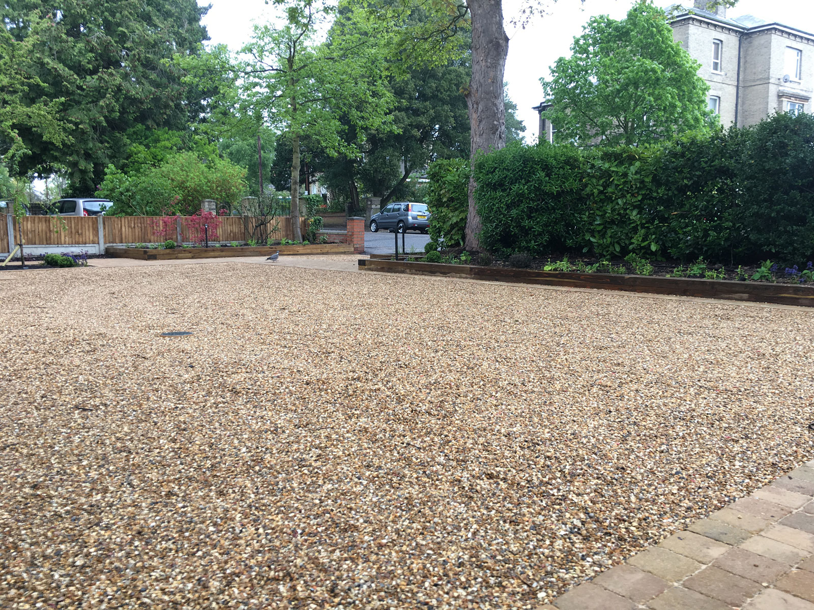 large gravel driveway with mature hedges for privacy