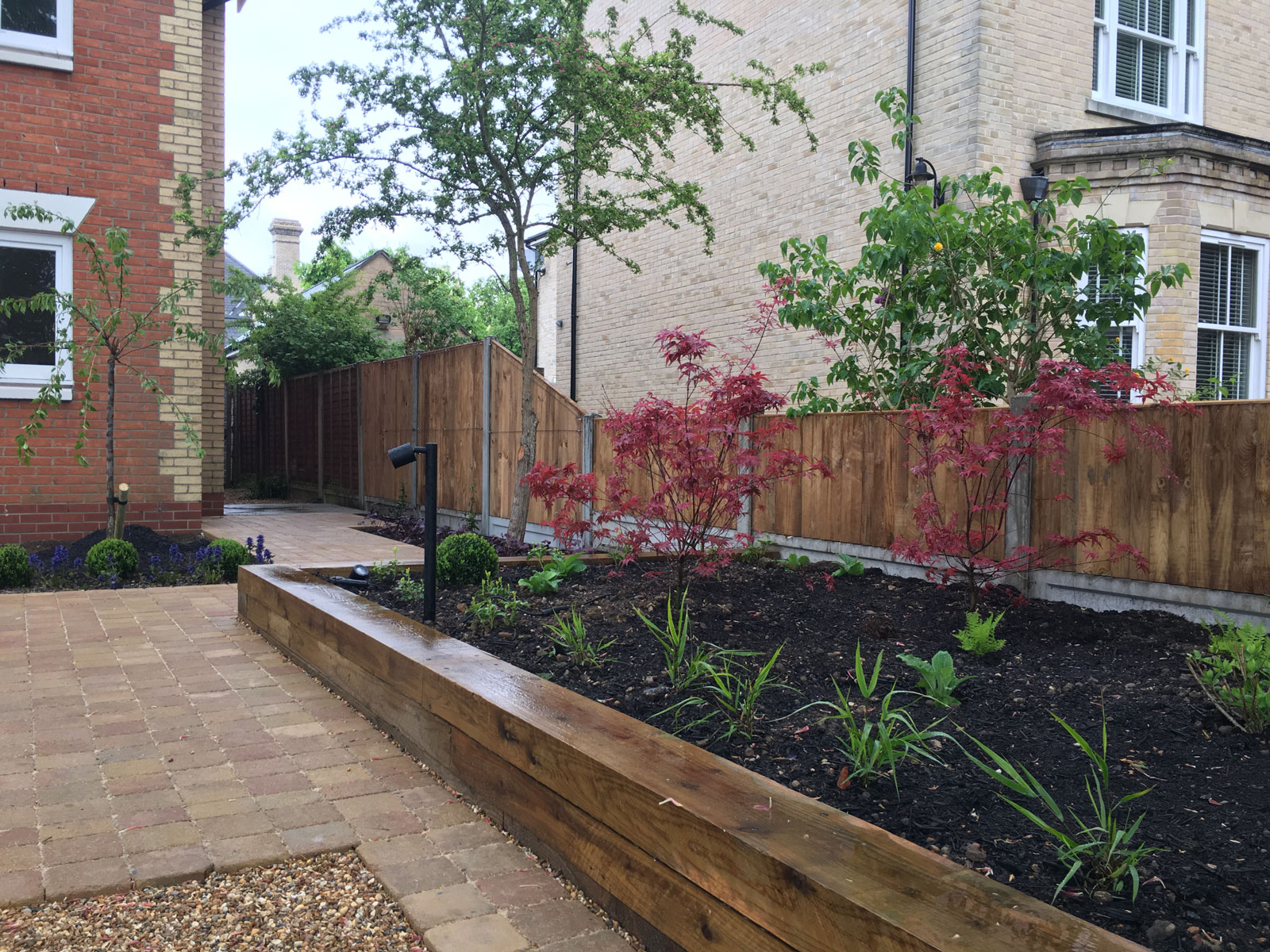raised beds constructed from sleepers and planted with acer and iris. Stick light in one corner