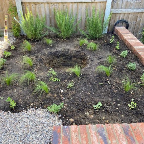 newly planted gravel garden with aggregate mulch yet to be applied