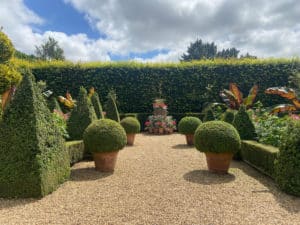 Topiary garden at East Ruston with lots of winter interest