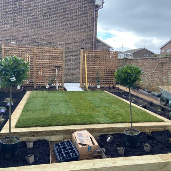 neat lawn edged with timber sleepers