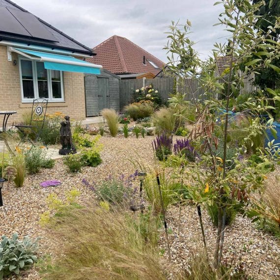 gravel garden with array of herbaceous plants and ornamental grasses