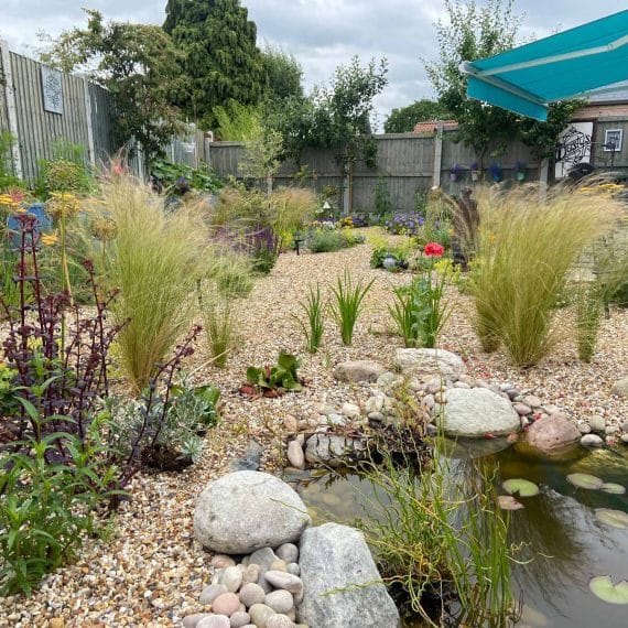 gravel garden with wildlife pond and assorted drought tolerant plants