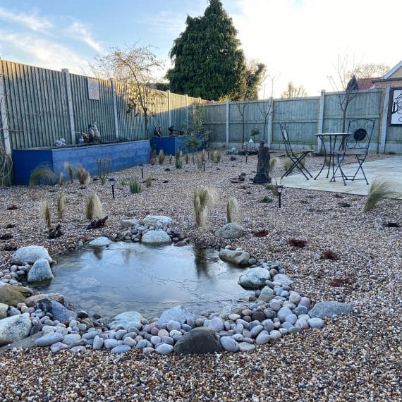 Pretty pond within a gravel garden. Pond is surrounded by pebbles along with young herbaceous plants