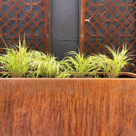 corten steel planter with lime green foliage plants