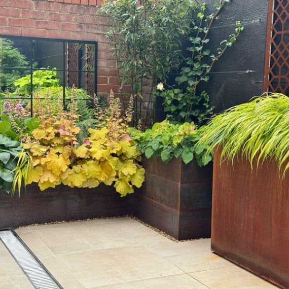 planted arrangement of heucheras and sedges in corten steel planters