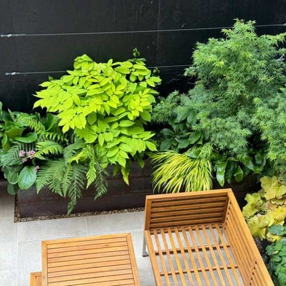 lush planting in varying shades of green