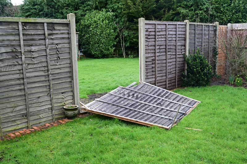 fallen fence panel following a storm