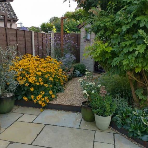 autumn border with rudbeckia and verbena