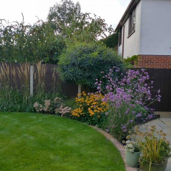 planted border with autumn flowers