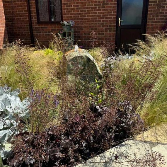 attractive plant combination with heuchera and grasses