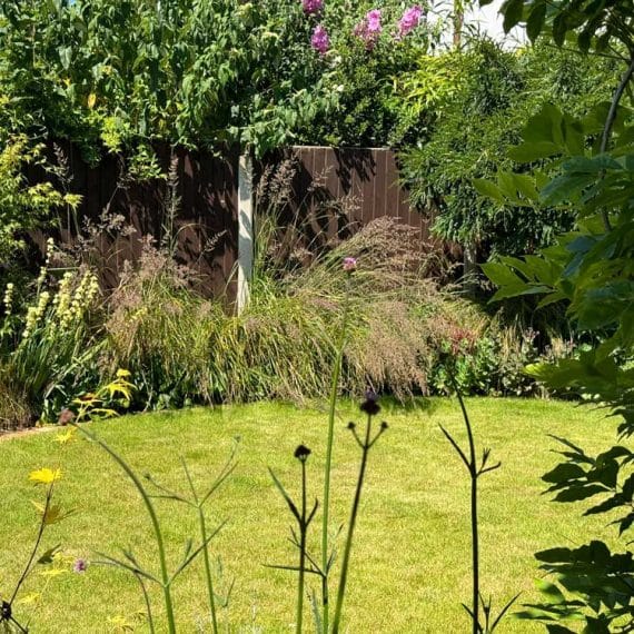 looking through a flower border across neatly manicured lawns towards an ornamental planting scheme